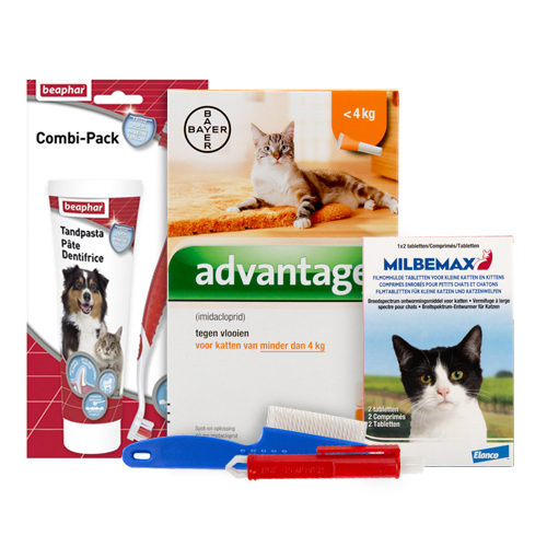 Medpets Kitten-Paket – 1 bis 2 kg
