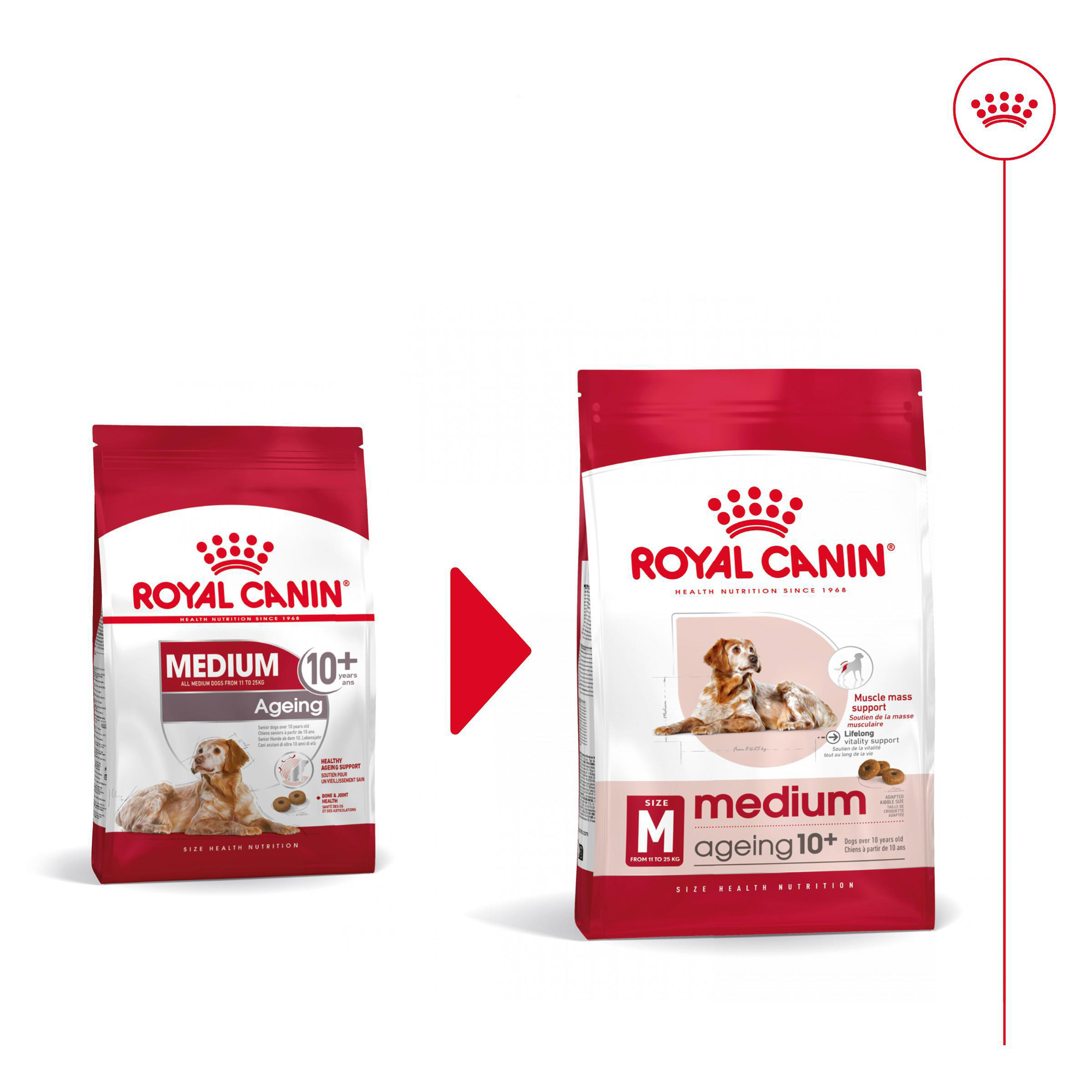 Royal Canin Medium Ageing 10+ Hundefutter – 3 kg Royal Canin Medium Ageing 10+ Hundefutter – 3 kg