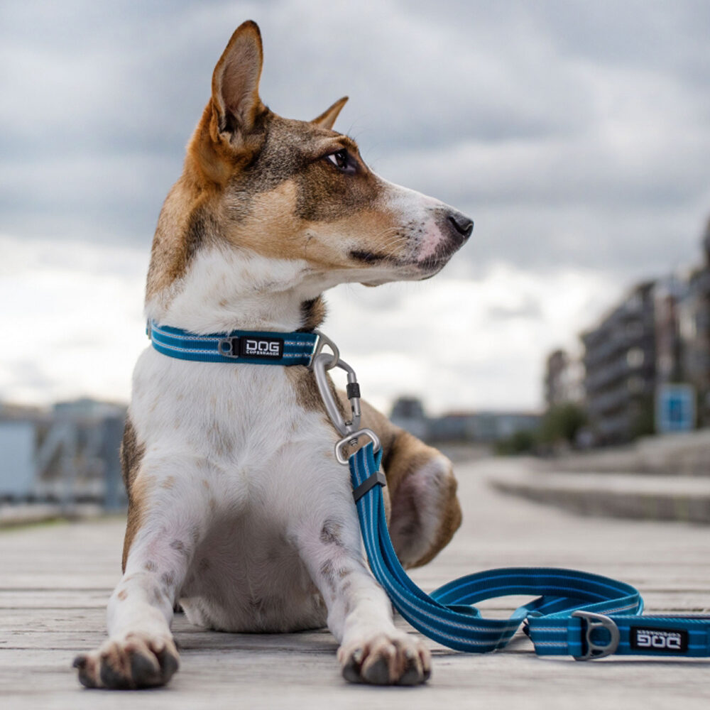 DOG Copenhagen Urban Freestyle™ Leine Ocean Blue L