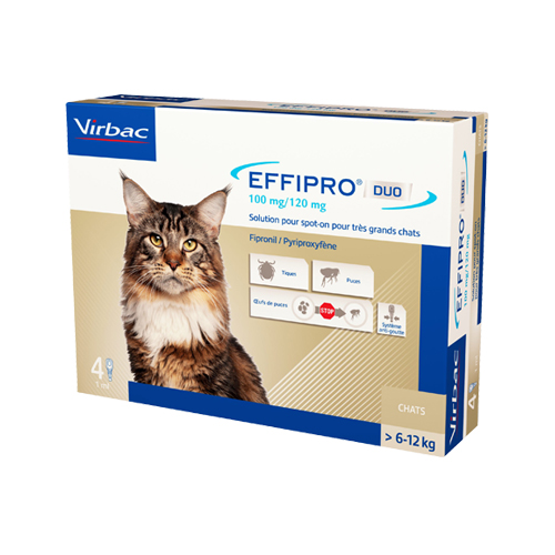Effipro DUO Spot-on für Katzen – mehr als 6 kg – 4 Pipetten Effipro DUO Spot-on für Katzen – mehr als 6 kg – 4 Pipetten