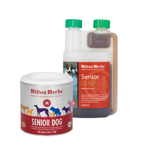 Hilton Herbs Senior für Hunde – 125 g Hilton Herbs Senior für Hunde – 125 g