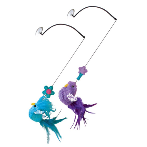 KONG Cat – Window Teaser