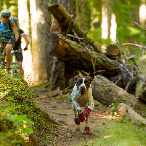 Ruffwear Grip Trex Boots – XXS – Obsidian Black – 2er Set