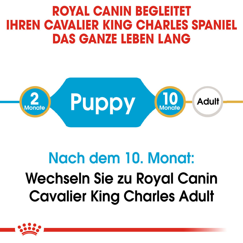 Royal Canin Cavalier King Charles Puppy Hundefutter – 1,5 kg