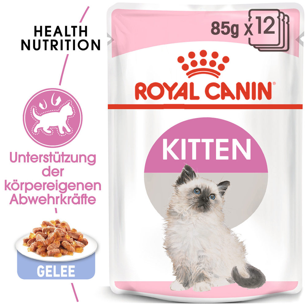 Royal Canin Jelly Kittenfutter – Frischebeutel – 12 x 85 g