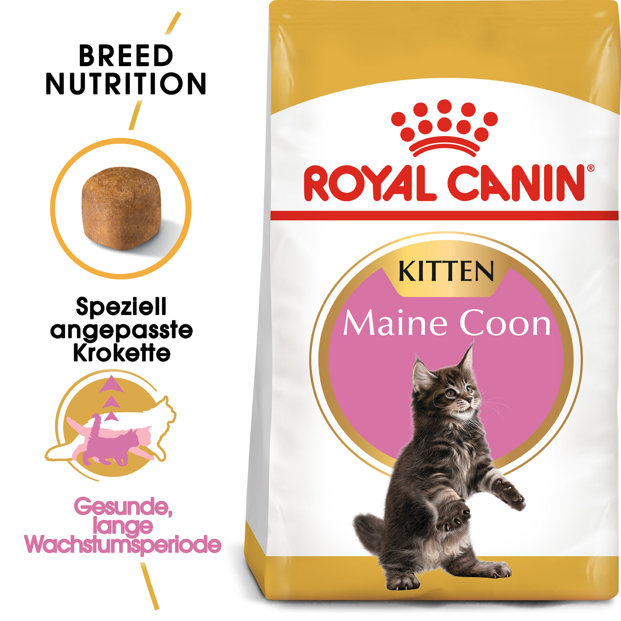 Royal Canin Maine Coon Kitten Katzenfutter – 2 kg