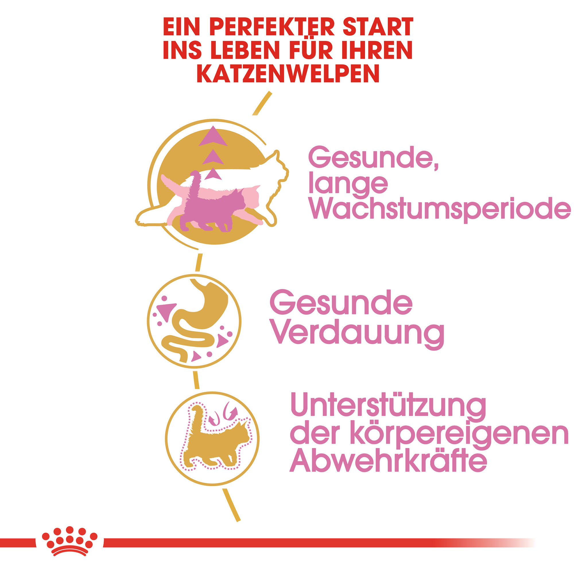 Royal Canin Maine Coon Kitten Katzenfutter – 4 kg Royal Canin Maine Coon Kitten Katzenfutter – 4 kg