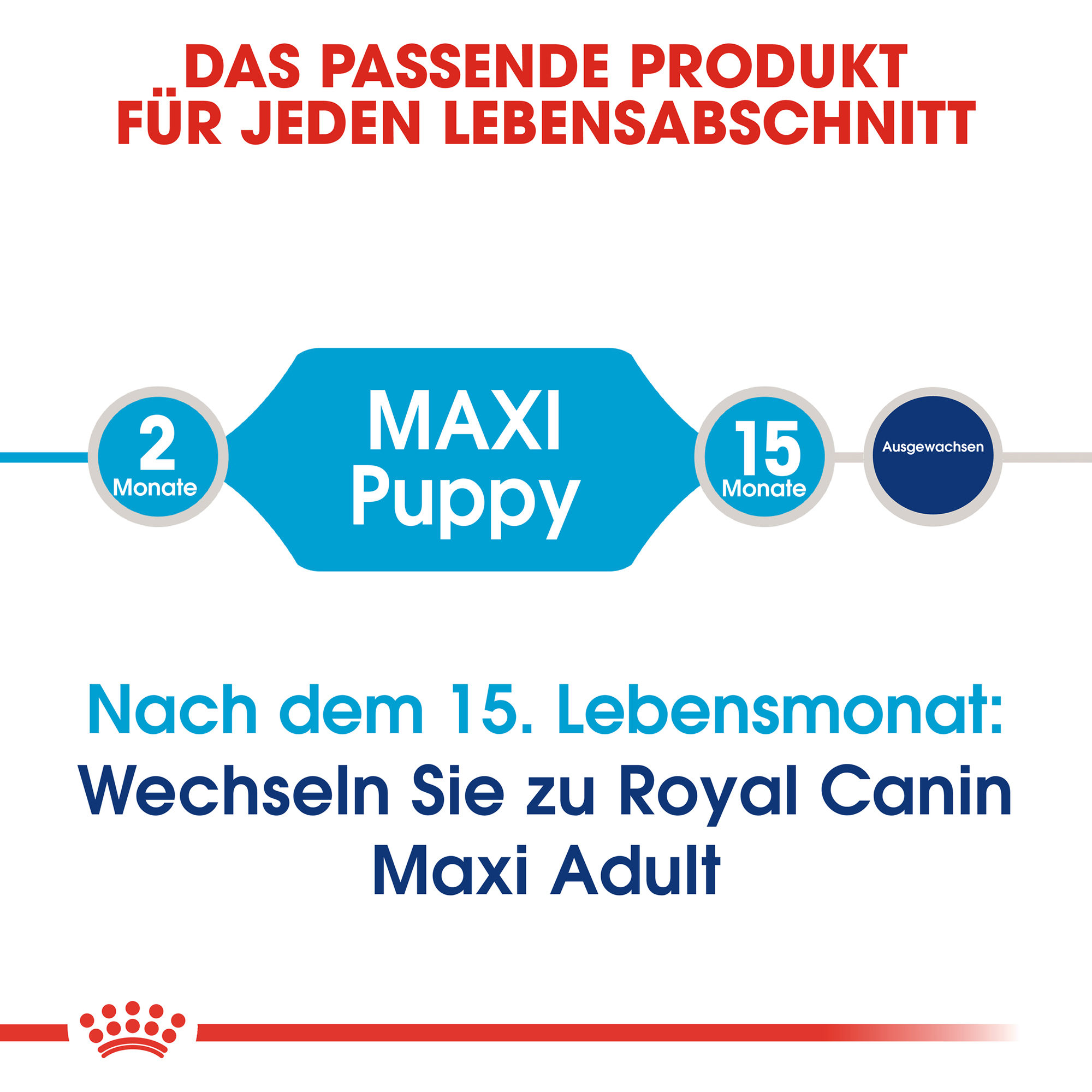 Royal Canin Maxi Puppy Hundefutter – 10 kg