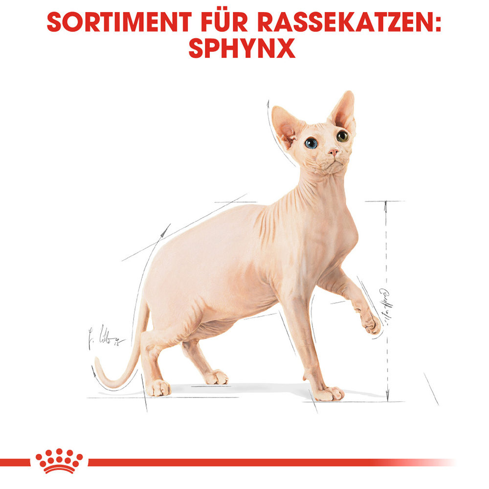 Royal Canin Sphynx Adult Katzenfutter – 400 g
