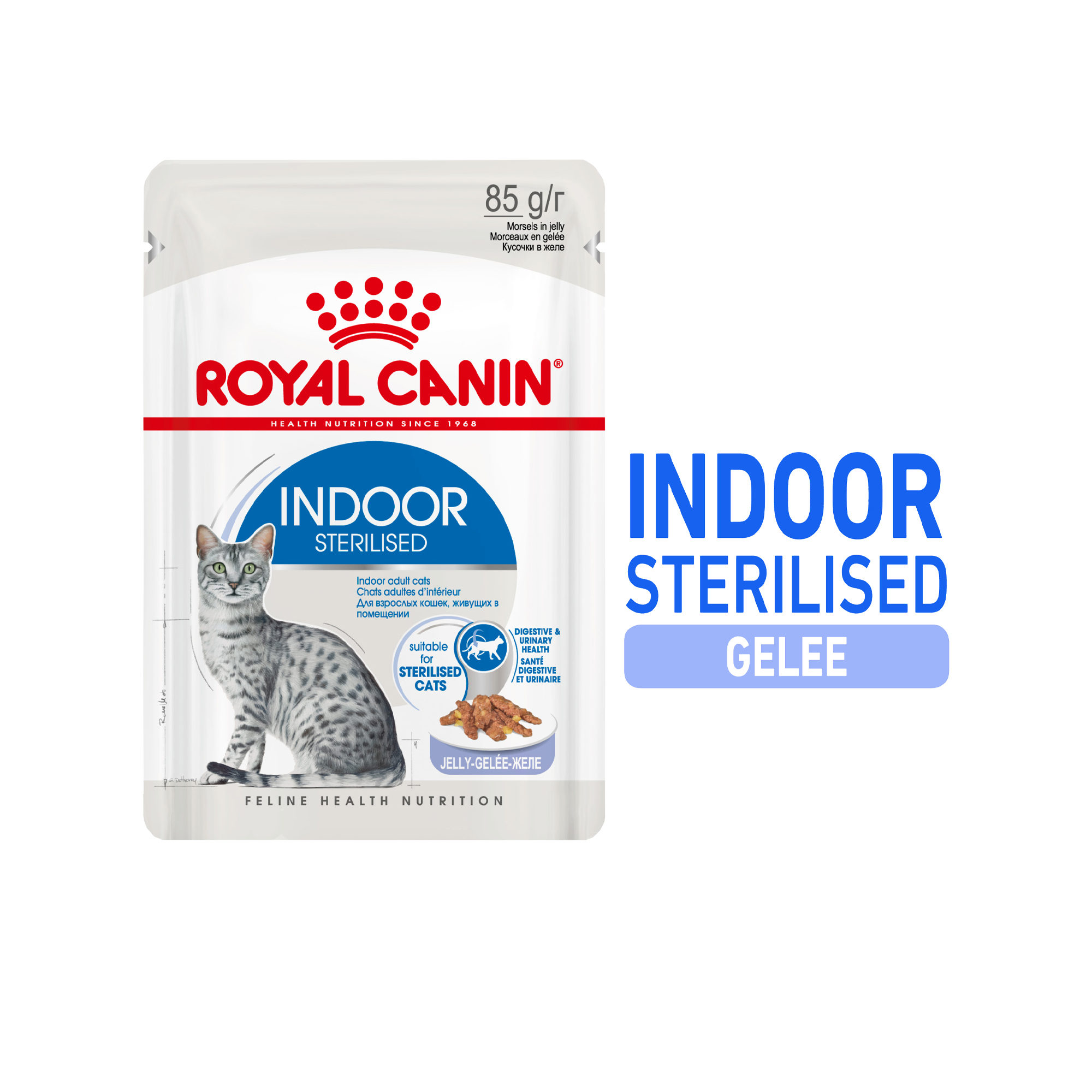 Royal Canin Sterilised Indoor in Jelly Katzenfutter – Frischebeutel – 12 x 85 g