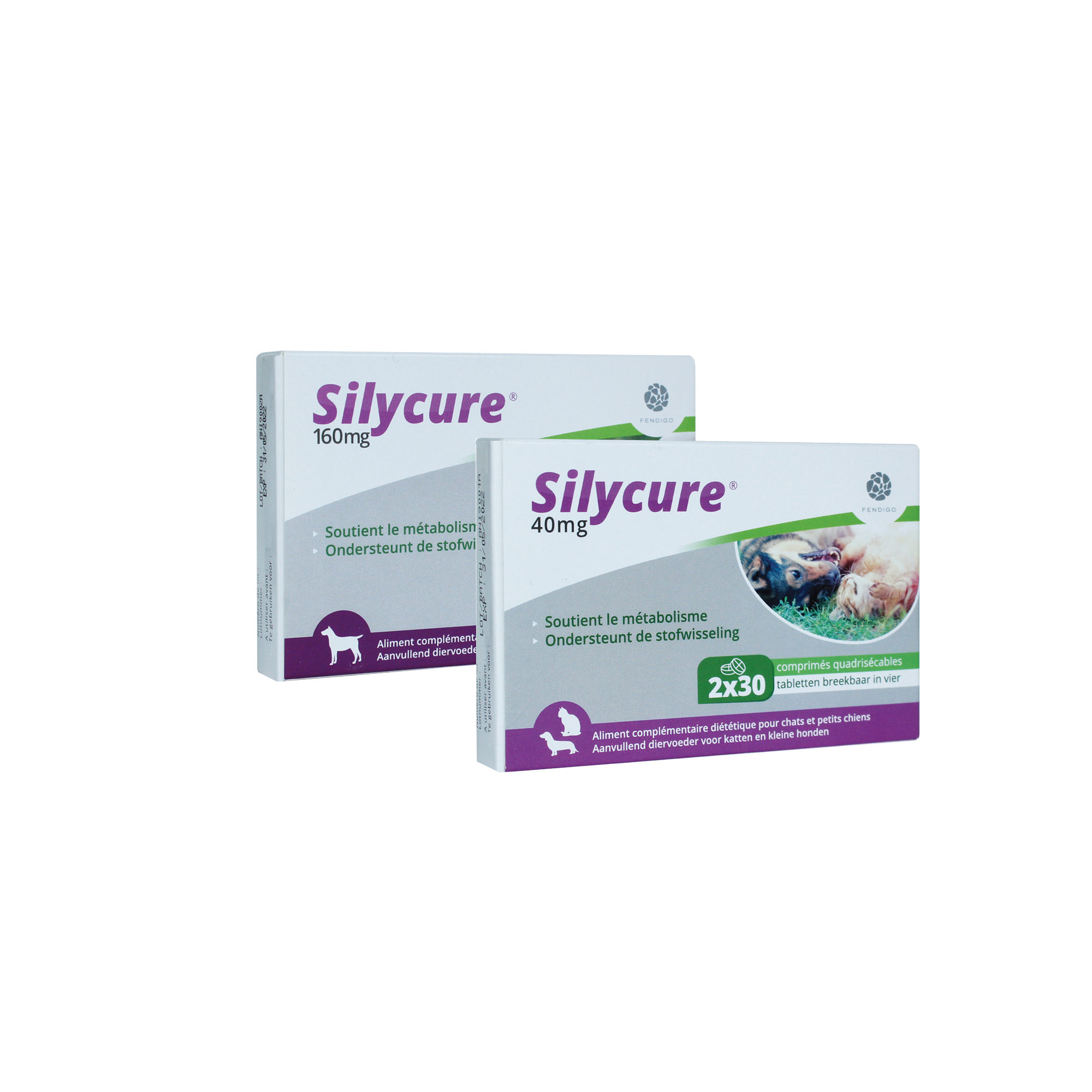 Silycure 160 mg – 30 Tabletten
