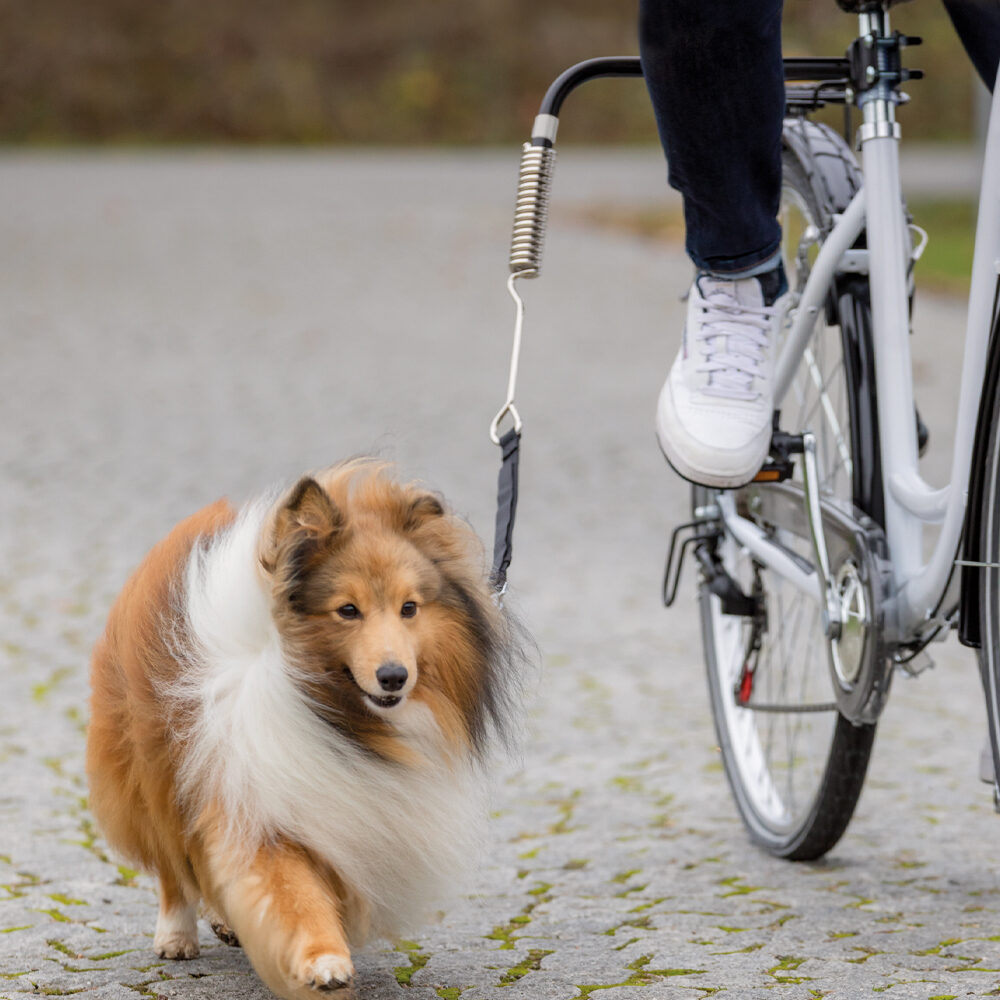 Trixie Biker-Set U-Form – M – XL Trixie Biker-Set U-Form – M – XL