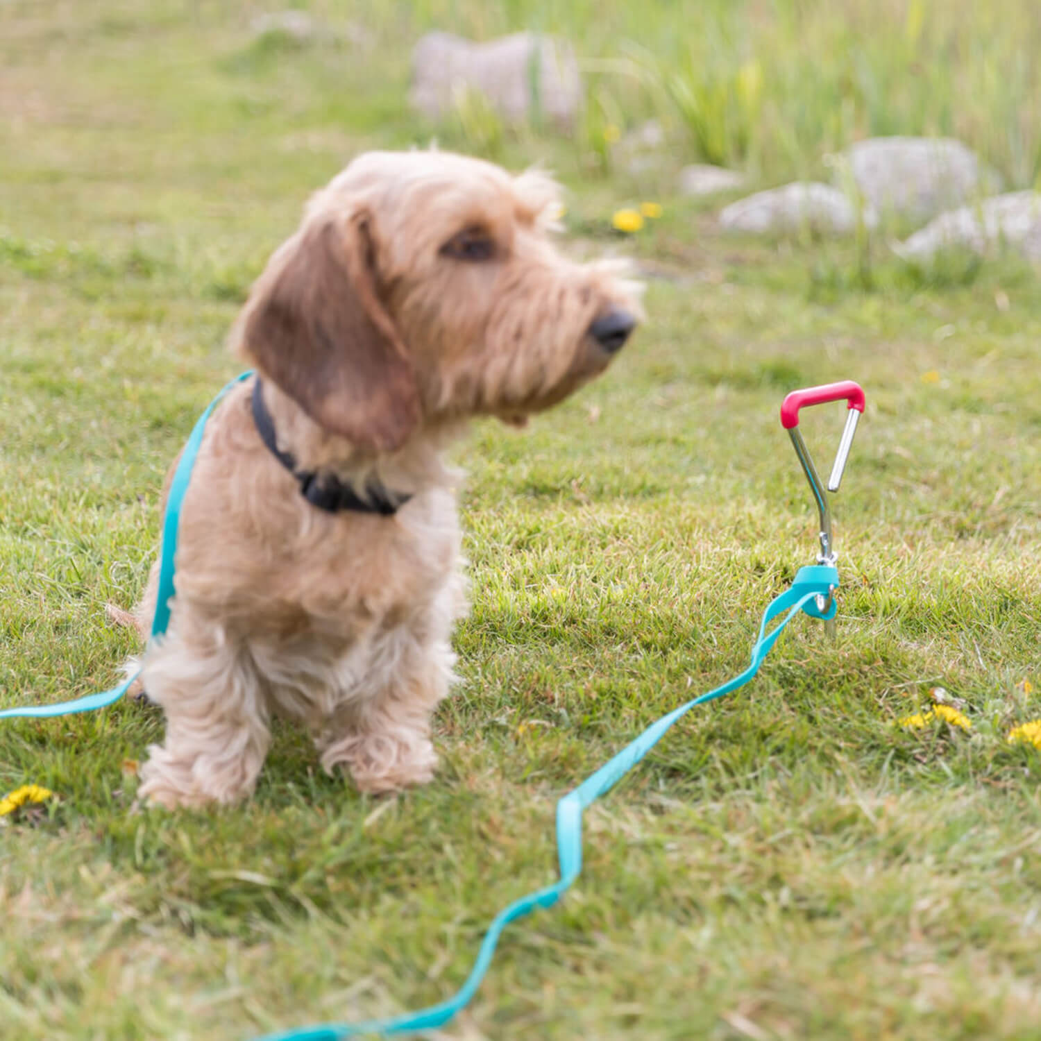 Trixie Anlegepflock für Leine Trixie Anlegepflock für Leine