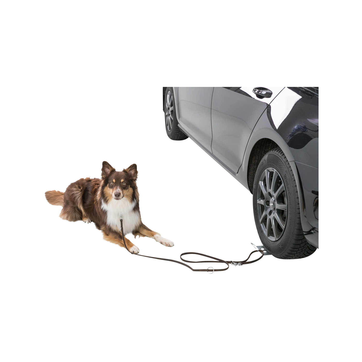 Trixie Auffahrplatte – 12 x 31 cm Trixie Auffahrplatte – 12 x 31 cm