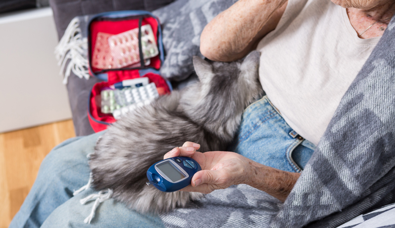 Diabetes Mellitus bei Katzen: Ein umfassender Leitfaden