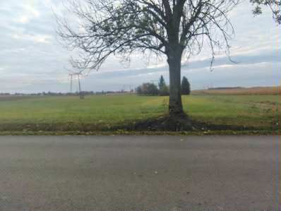 Sprzedam działki budowlane o pow. 37 ar Tryńcza - zdjęcie 5