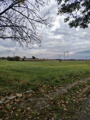 Sprzedam działki budowlane o pow. 37 ar Tryńcza - zdjęcie 4