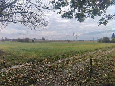 Sprzedam działki budowlane o pow. 37 ar Tryńcza - zdjęcie 1