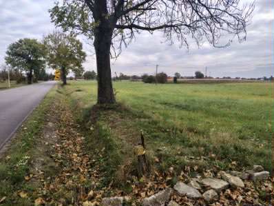 Sprzedam działki budowlane o pow. 37 ar Tryńcza - zdjęcie 3