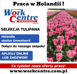 Selekcja tulipana (k/m) Oferta pracy w Holandii