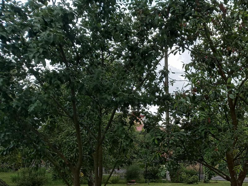 Dom w laszki - Podkarpackie - zdjęcie 9