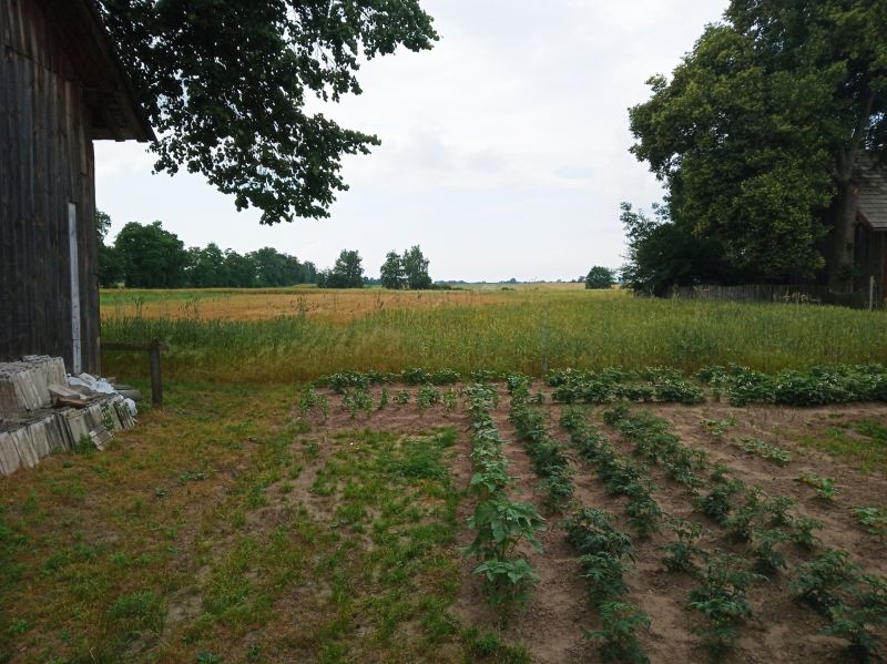 Dom w laszki - Podkarpackie - zdjęcie 6