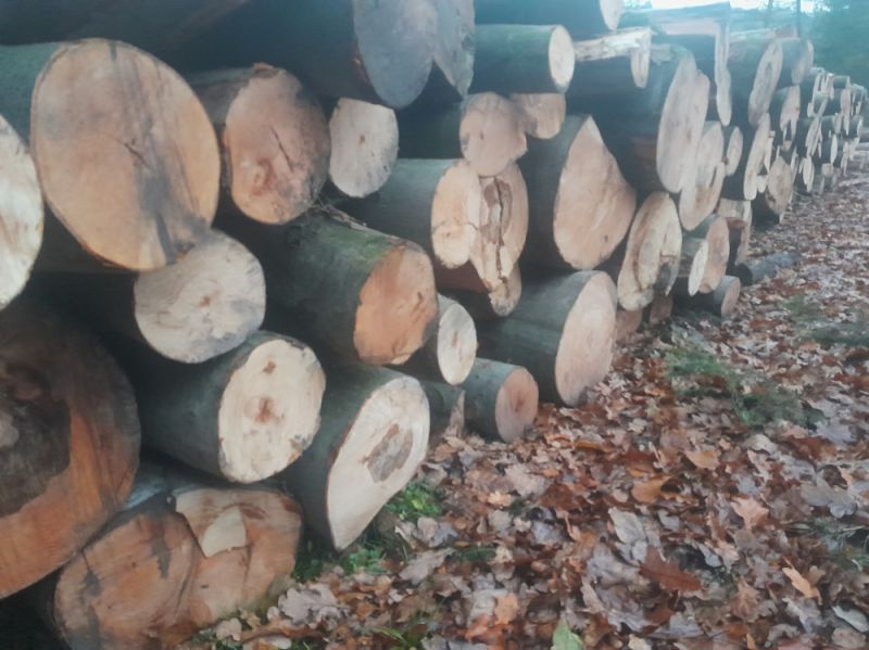 Drewno opałowe, buk, grab, brzoza, dąb, iglaste opał, dowóz gratis! - zdjęcie 1