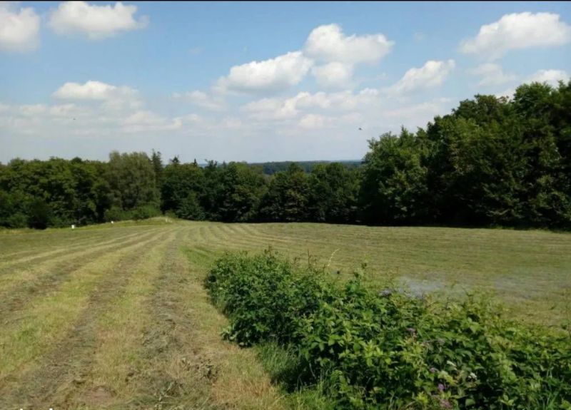 Sprzedam ziemię rolno-budowlaną 1,34 ha - zdjęcie 1