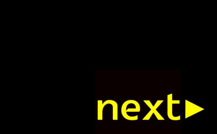 Stolarz / stolarzowa meblowy/a (Holandia) - zdjęcie 1