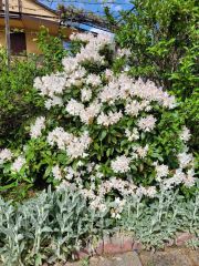 Działka rekreacyjna