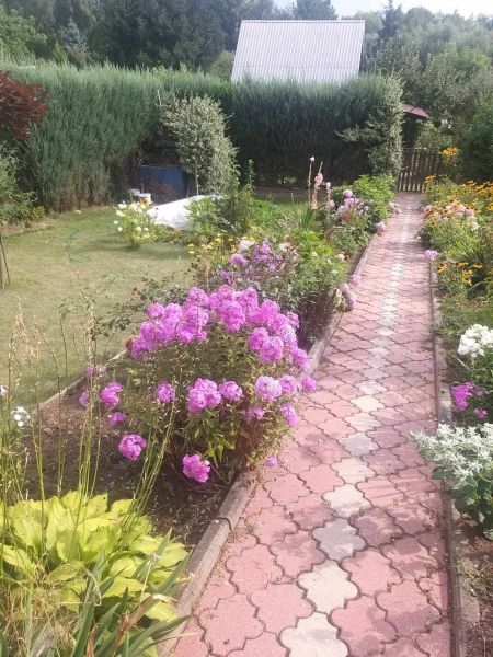 Działka rekreacyjna - zdjęcie 4