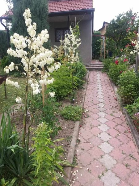 Działka rekreacyjna - zdjęcie 5