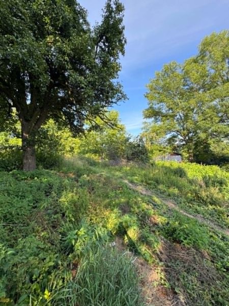 Dom w Trzcianie | 15km od Rzeszowa | duża działka | 100 m2 + 40 m2 - zdjęcie 5