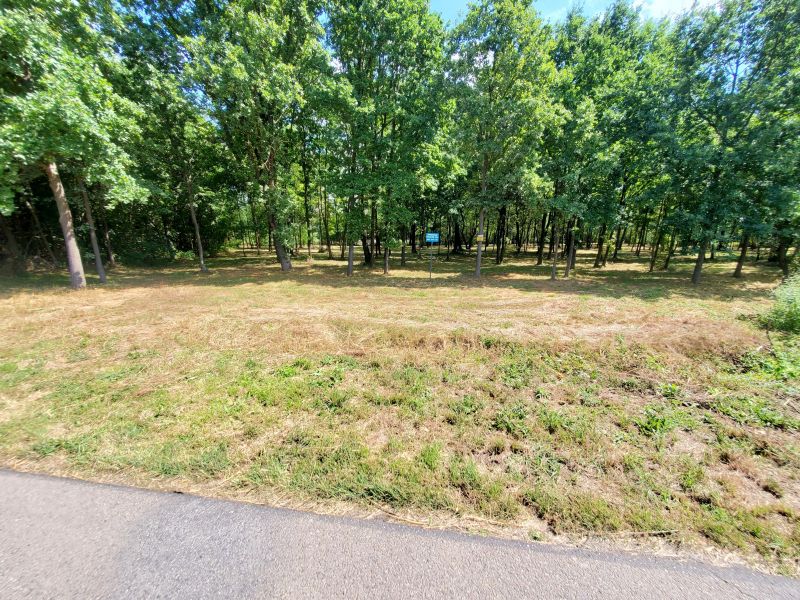 Działka rekreacyjna 30 arów nad rzeką lubaczówka. - zdjęcie 3