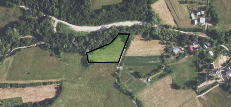 Działka Rolna Orna 35 ar Brylińce podkarpacie Gmina Krasiczyn - zdjęcie 4