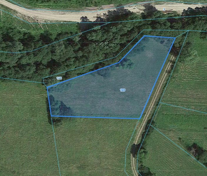 Działka Rolna Orna 35 ar Brylińce podkarpacie Gmina Krasiczyn - zdjęcie 1