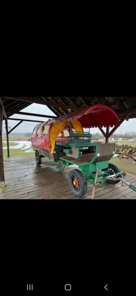 Powoz konny - zdjęcie 2