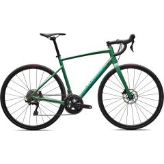 2026 Specialized Allez Comp Shimano 105 Road Bike