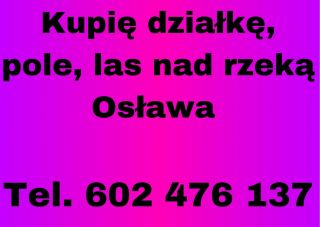 Kupię działkę, pole, nieużytek nad rzeką osława