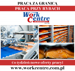 Pakowanie ryb Oferta pracy w Holandii