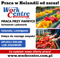 Ścinanie i sortowanie papryki  Oferta pracy w Holandii (k/m)