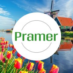 Spawacz konstrukcji (Rotterdam) - praca w Holandii