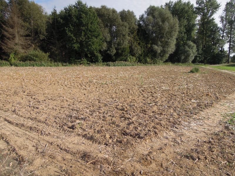 Działki budowlane Wólka Pełkińska - zdjęcie 3