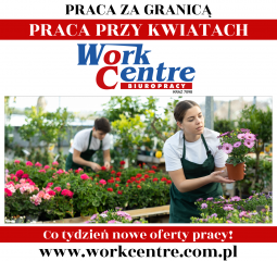 Uprawa i pielęgnacja kwiatów Oferta pracy w Holandii