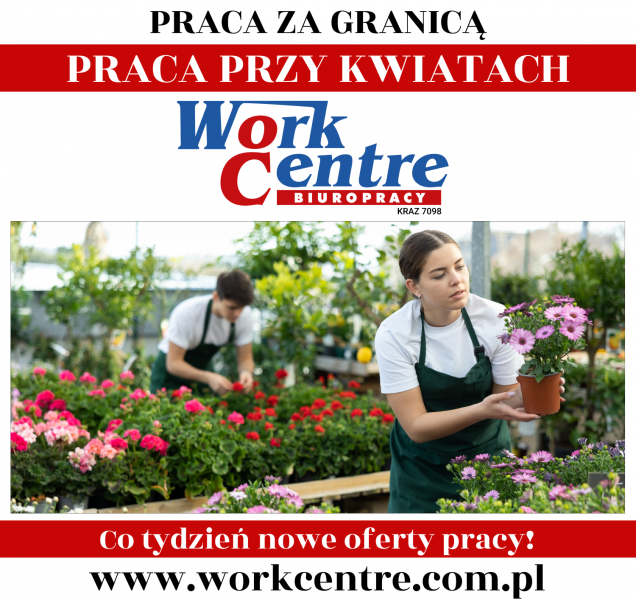 Uprawa i pielęgnacja kwiatów Oferta pracy w Holandii (k/m) - zdjęcie 1