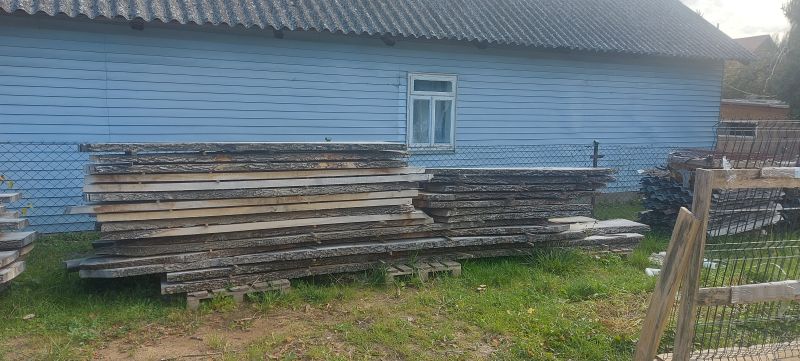 Sprzedam drzewo - zdjęcie 4