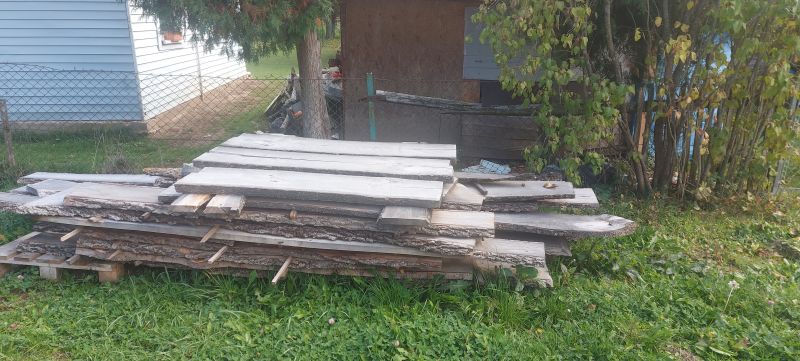 Sprzedam drzewo - zdjęcie 6