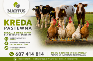 Kreda Pastewna 