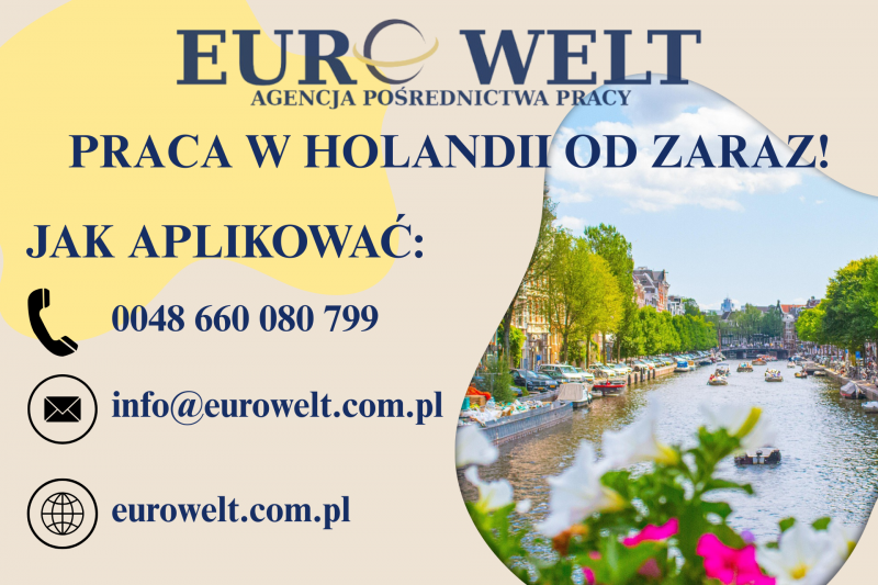 Holandia/ Pakowanie świeżych ryb/ od zaraz - zdjęcie 1