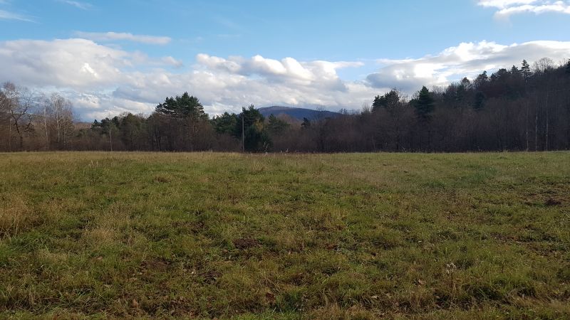 Uzbrojona działka widokowa na wzgórzu – 3 min od Soliny + własny las! - zdjęcie 4